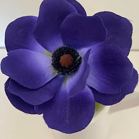 Loukia 아파트 *